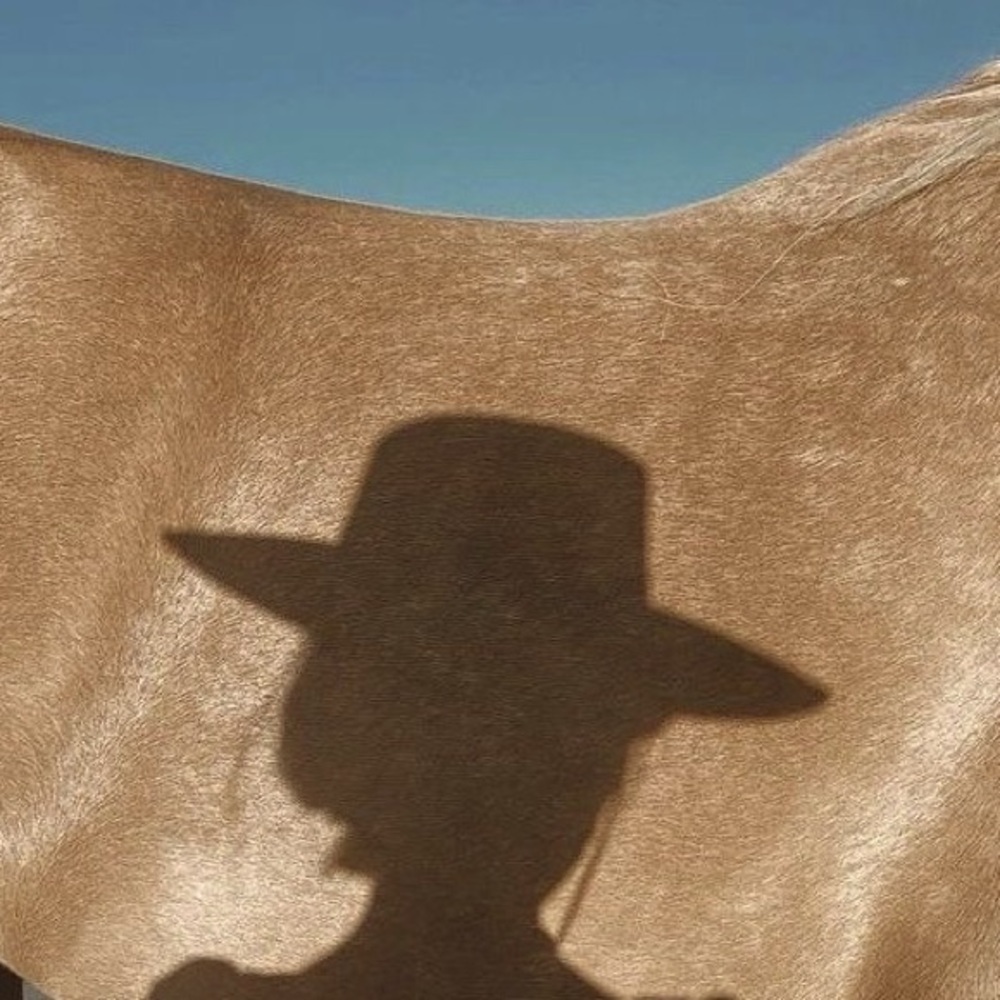 Meet your Posher, Nari